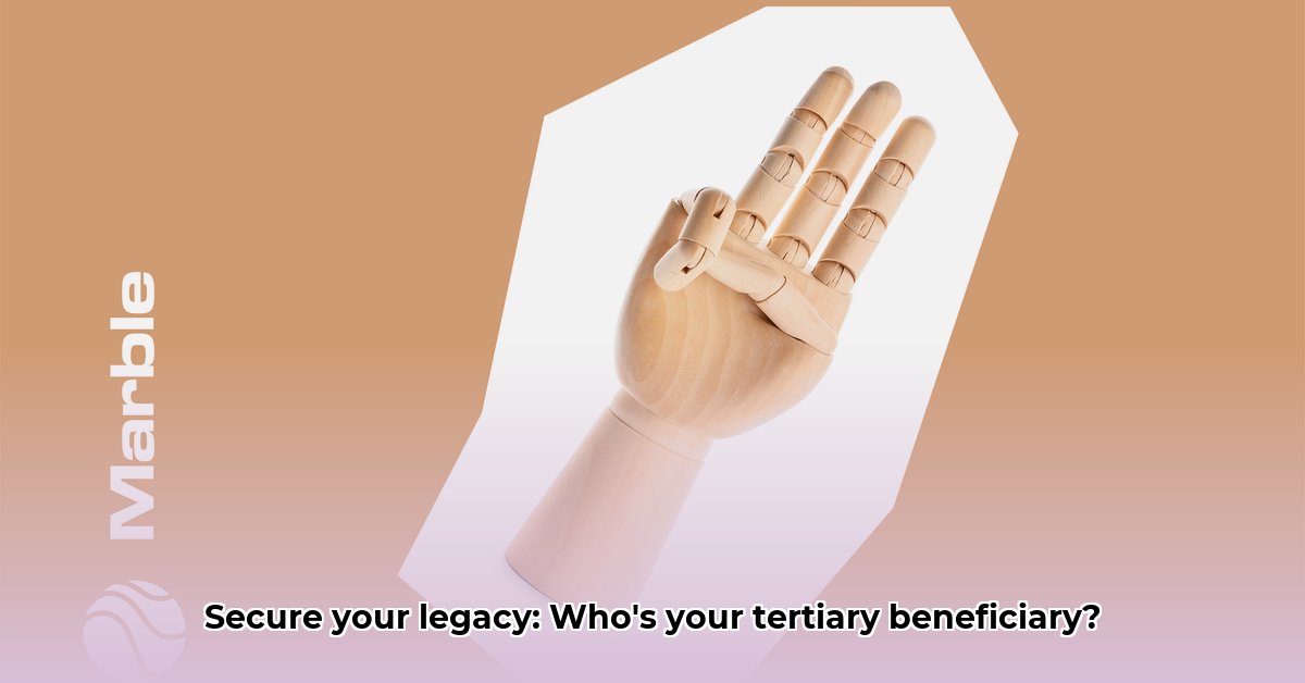 what-is-a-tertiary-beneficiary